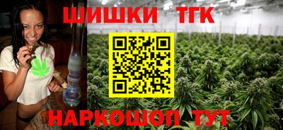 МДПВ Гусев