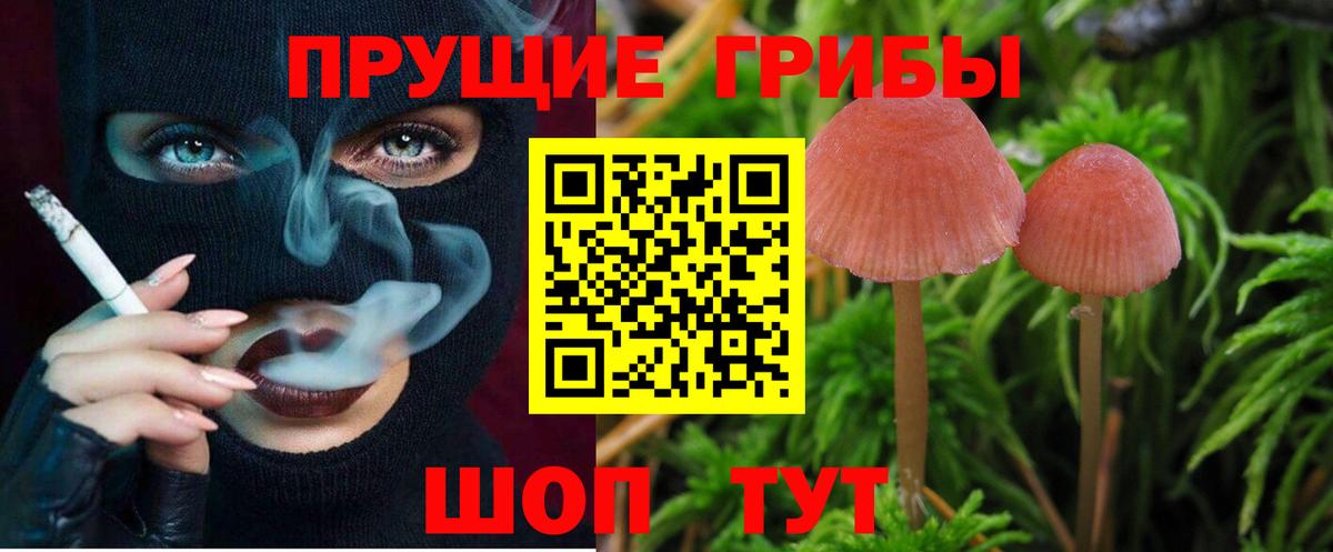Галлюциногенные грибы мицелий  что такое наркотик  Ливны  Вход с VPN  Галлюциногенные грибы мицелий 